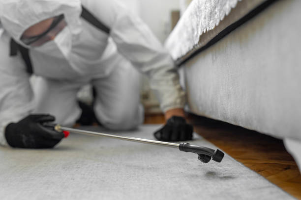 Professional Bed Bug Control technician working in Madison, IN