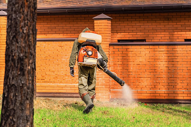 Top rated local Bed Bug Control specialists in Madison, IN